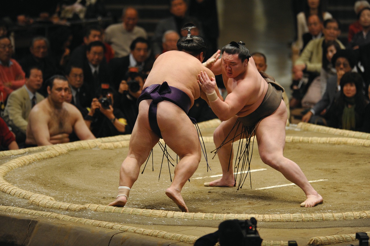 Sumo Tour: Nagoya Tournament [NG560] 