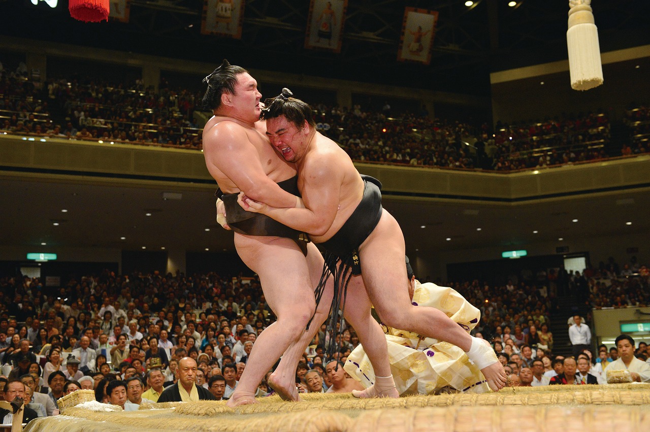 Sumo Tour: Tokyo Tournament & Chanko Dinner Plan [F560] 