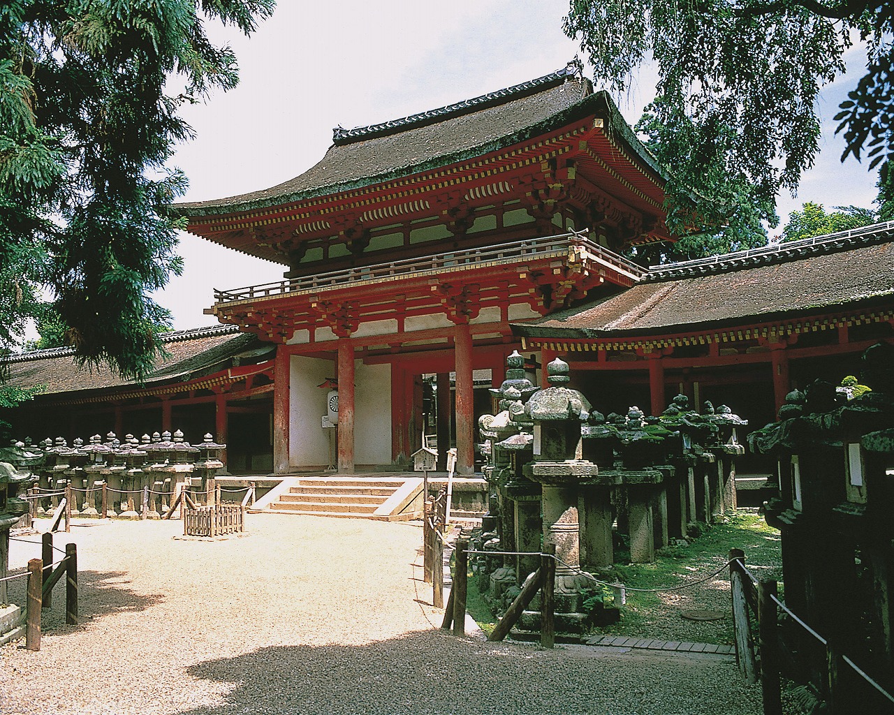 1-Day Kyoto & Nara Tour from Osaka [P910] 