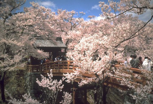 Open Air Kasatsu Hot Spring & Takanto Castle Park 